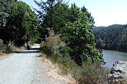 Trail near Roche Cove